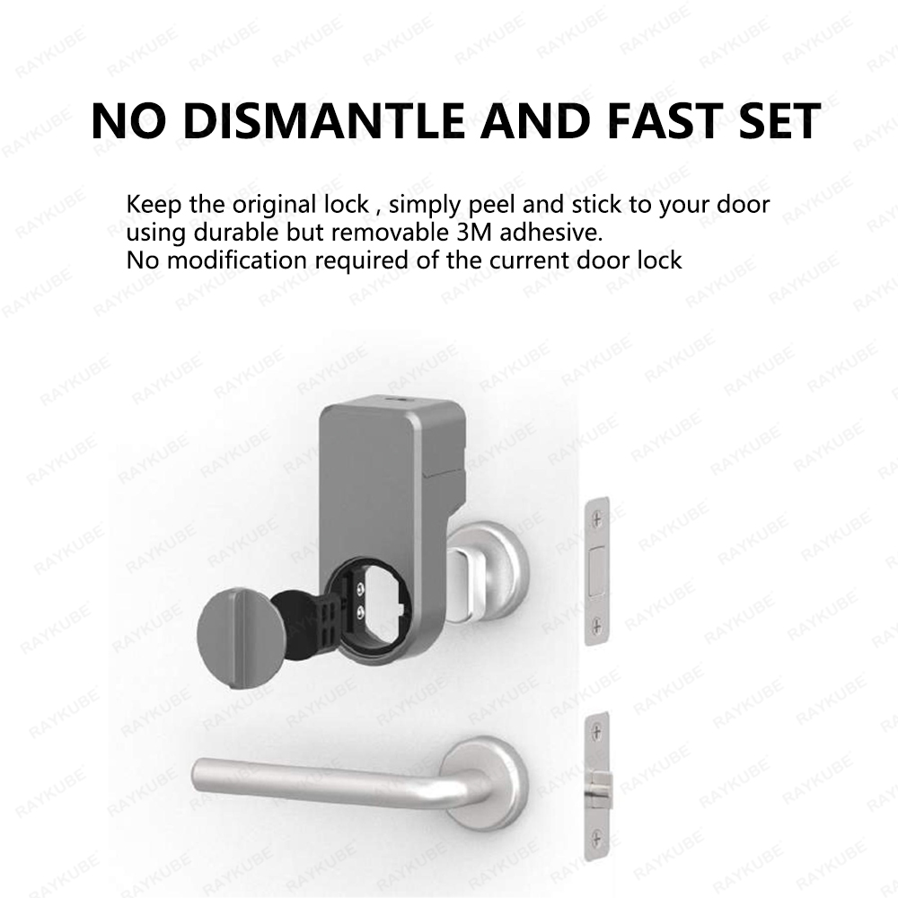 RAYKUBE A1 Pro Tuya BEL Smart  – обзор и цена Door Lock Smart Keypad