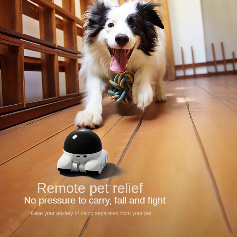 Smart Dual Lens IP Dome Robot  – обзор и цена Home Security Robot Dog