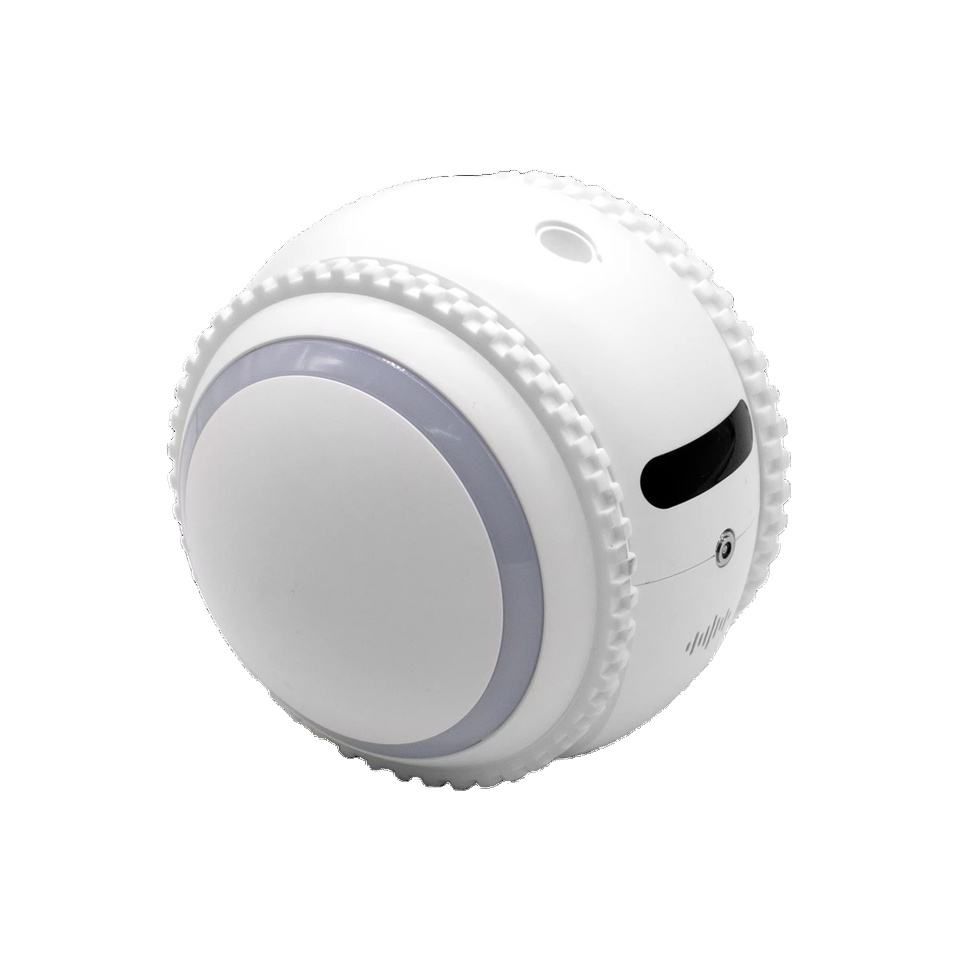 Mini 2MP Wireless Network CCTV – обзор и цена Home Security Robot Dog