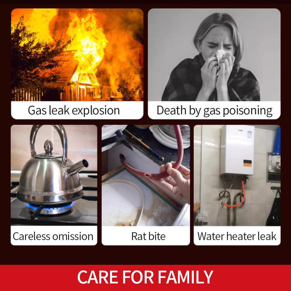 Combustible Gas Alarm Sensor G – обзор и цена Home Security Kitchener